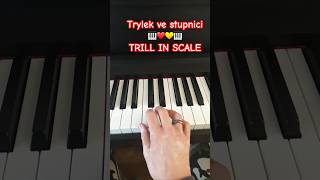 Trylek Trill in Scale piano pianotutorial music pianomusic pianolessons tutorial pianocover [upl. by Artekal]