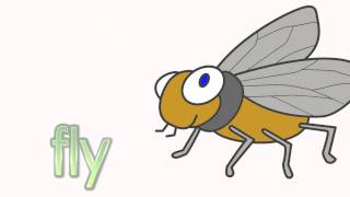 Learn Insects  Talking Flashcards [upl. by Bryanty]