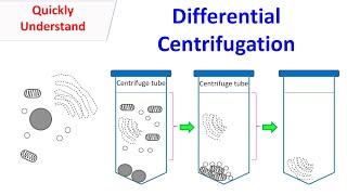 differential centrifuge [upl. by Donovan]