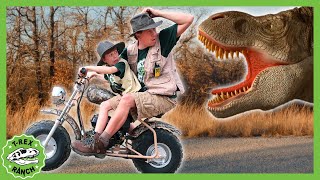 Is that the Mommy TRex Vehicles Dinosaurs  MORE  TRex Ranch Dinosaur Videos for Kids [upl. by Enirak28]