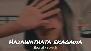 Hadawathata ekagawa slowedreverb full song 🎧🖤 [upl. by Ertemed]