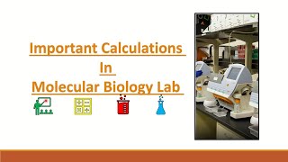 calculations in molecular biology lab part 1 [upl. by Osrick]