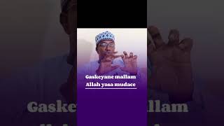 tiktok Sheikh Aliyu Rd Makarfi…more [upl. by Airdnalahs]