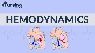 The Basics of Hemodynamics Nursing School Lessons [upl. by Mackenzie]