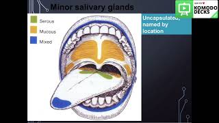 Salivary glands histology practical part 3 [upl. by Innoc]