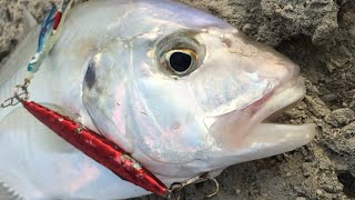 Solo fishing on rock jetty  shore jigging ultra light fishing [upl. by Lorry]