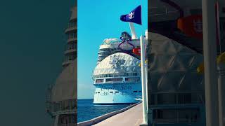 World’s longest dry slide on a cruise ship😱 shorts [upl. by Felton]