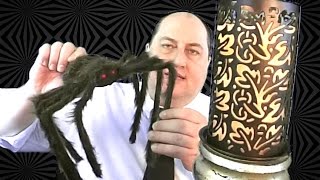 ASMR Arachnophobia Hypnosis Therapy [upl. by Lonier697]