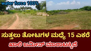 General Property Agriculture Land For Sale Near By Challakere Chitradurga District video number 95 [upl. by Bundy]