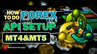 How To Do Forex Algo Api Setup  Mt4ampMt5 Api Setup Hindi Tutorial [upl. by Mozelle]