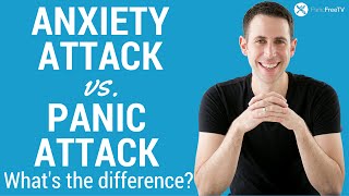 Anxiety Attack vs Panic Attack  Whats The Difference [upl. by Feodora]