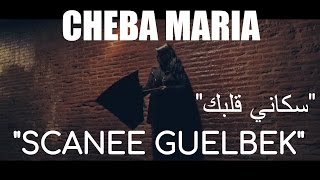 Cheba Maria  Scanee Guelbek EXCLUSIVE Music Video  الشابة ماريا  سكاني قلبك حصرياً [upl. by Ecirtnuahs]