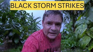 Martys Garden BLACK Storm Strikes Near Byron Bay Australia [upl. by Kalfas]