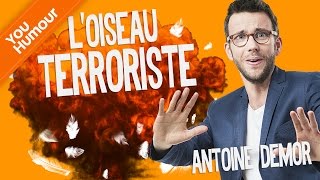 ANTOINE DEMOR  Loiseau terroriste [upl. by Adnek]