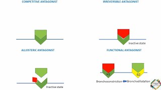 INTRINSIC ACTIVITY OF A DRUG amp QUANTAL DOSERESPONSE RELATIONSHP [upl. by Ardnuhsor]