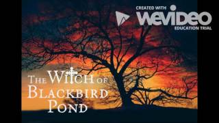 Chapter 10  Witch of Blackbird Pond [upl. by Lunetta]