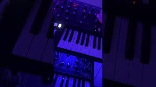 POV Analog Synth Jam mikedean travisscott synth synthesizer analogsynthesizer producer moog [upl. by Atnahsa]