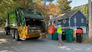 WM Garbage Truck VS Trash Bins And Bags [upl. by Ahsema350]