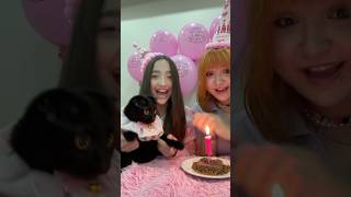 linomuz bir yasinda🎀dogum gunu vlogum yayinda cat catbirthday catvideos birthday umay [upl. by Stanzel]