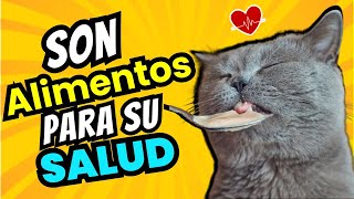 10 Alimentos Humanos que son Saludables para Gatos🐾🍴 [upl. by Sirovat291]