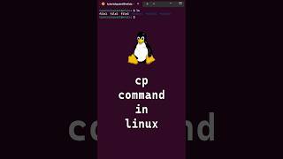 910 Basic Linux Commands  cp command in linux shorts linux linuxcommands [upl. by Leasim]