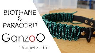 Halsband aus Biothane und Paracord [upl. by Aber]