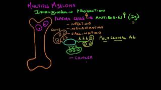 Multiple Myeloma Basics  Immunoglobulin Production made easy [upl. by Pooley523]