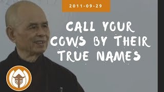 Call Your Cows By Their True Names  Dharma Talk by Thich Nhat Hanh 20110929 Magnolia Grove [upl. by Annohsed]