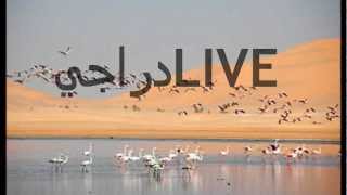 دراجي LIVE touggourt 2012 تقرت عمي حمى [upl. by Ellenod]