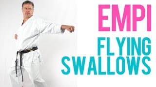 EnpiEmpi  Flying Swallow  Shotokan Kata by Sensei Soon Pretorius Former JKA World Champion [upl. by Pillyhp257]