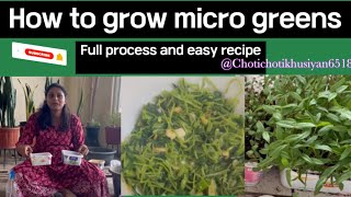 How to grow micro greensrecipemicrogreens recipe gardening [upl. by Edahsalof]