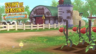 Updated Field Work Sneak Peeks  Story of Seasons A Wonderful Life [upl. by Arlyn]