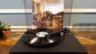 Lynyrd Skynyrd  Simple Man Vinyl Tonic [upl. by Kaya457]