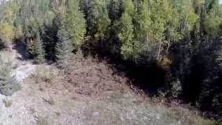 Acid Mine Drainagefrom Copper ExplorationEly MN after 50 years [upl. by Frederic]