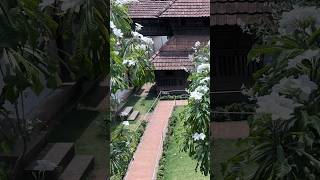 Padmanabhapuram Palace  Manichithrathazhu Location shortsfeed shortvideo travel palace [upl. by Irb]