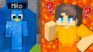 ONE COLOR CAMOUFLAGE Hide and Seek in Minecraft Prop Hunt [upl. by Hesler185]