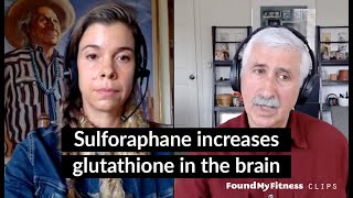 Sulforaphane increases glutathione in the brain  Jed Fahey [upl. by Attiuqal132]