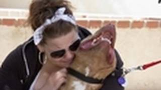 Pit Bull and Owner Reunited  Pit Bulls amp Parolees [upl. by Haron]