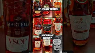 Top cognac brands of the world cognac lvmh martell courvosier camus remymartin [upl. by Novak]