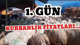 1 GÜN KURBAN FİYATLARI  ANKARA YENİMAHALLE YAKACIK [upl. by Edlun]