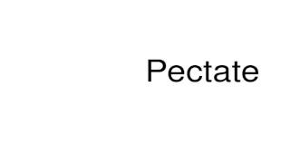 How to pronounce Pectate [upl. by Nossaj101]