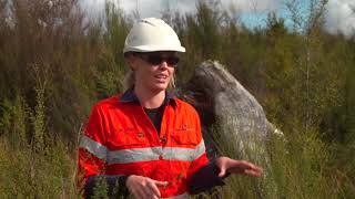 Reefton gold mine restoration returning results [upl. by Ida]