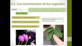 Relación y reproducción en las plantas 1º Bachillerato [upl. by Salohcin281]