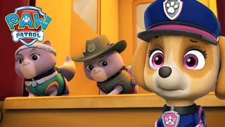 ¡Los cachorros del rescate máximo salvan a los Gatitos Reales  PAW Patrol Episodio Español [upl. by Meek]