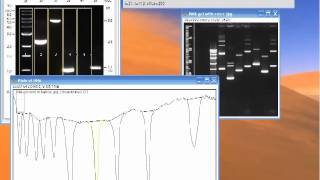 The DNA Lab Molecular Cloning Strategy workshop [upl. by Aeel510]