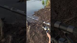 ✅ПОВНЕ ВІДЕО НА КАНАЛІ✅ 🎣carpfishing fishing fish [upl. by Irrek]