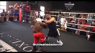 Midget vs Dwarf Boxing  Mini DaBaby Tyson vs Human Tetris Long Limb Thomas [upl. by Euhsoj]