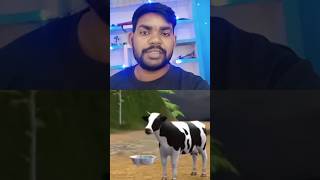 Gay Mata Ki Kahani 🥹 shorts storyvideo 😭 [upl. by Sarge]