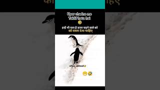 pahad par chadne me taklif hota hai funny mountains birds comedy animalshorts pets [upl. by Harp349]