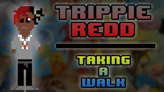 Taking A Walk  Trippie Redd 8bit [upl. by Muslim]